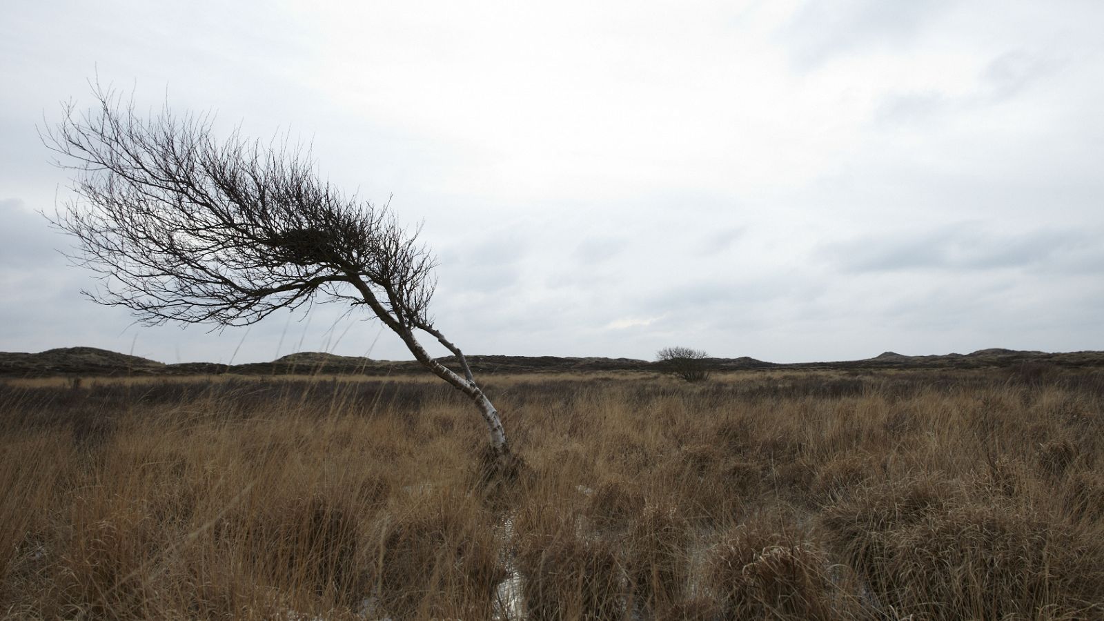 A walk with the dune-farmer - Bij Jef